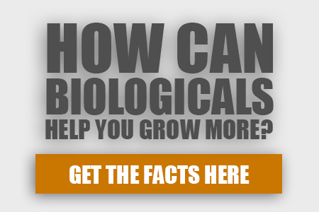 text-how-can-biologicals-help-you-grow-more